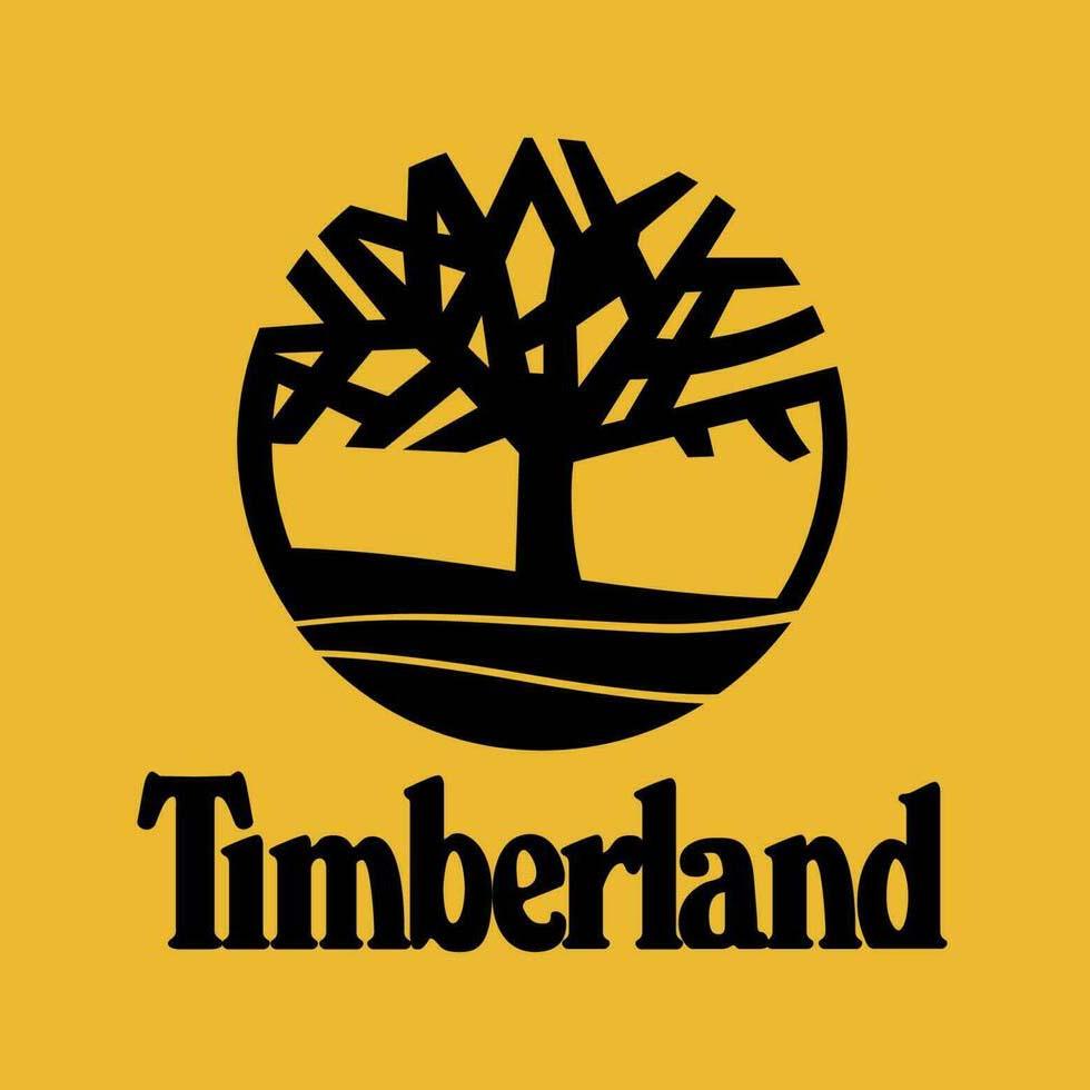 عینک های تیمبرلند (Timberland)