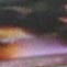 E01