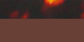 F2134